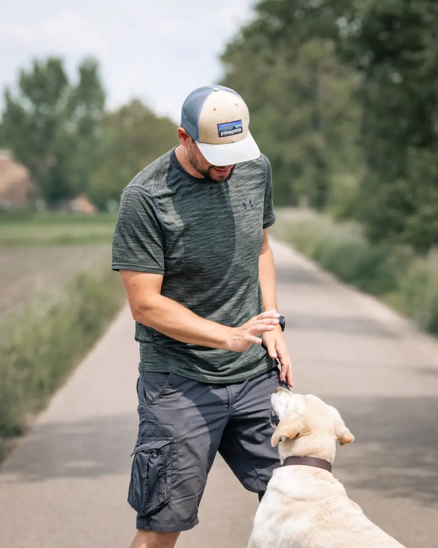 Einzeltraining: Hundetrainerin mit Hund auf einem Feldweg